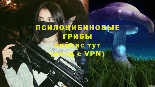 амфетамин Богородицк