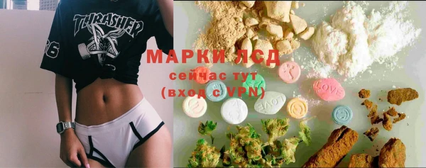 мдпв Богданович