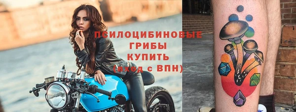 мдпв Богданович