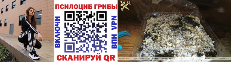 купить цена Нарткала Галлюциногенные грибы Magic Shrooms